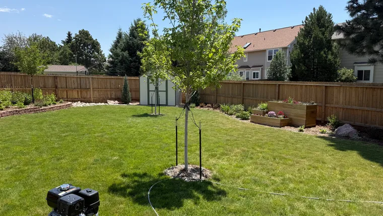 New fence and clean backyard after